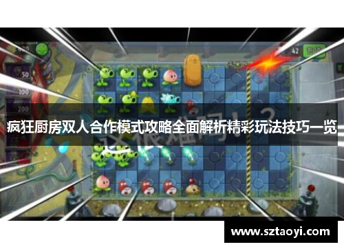 疯狂厨房双人合作模式攻略全面解析精彩玩法技巧一览